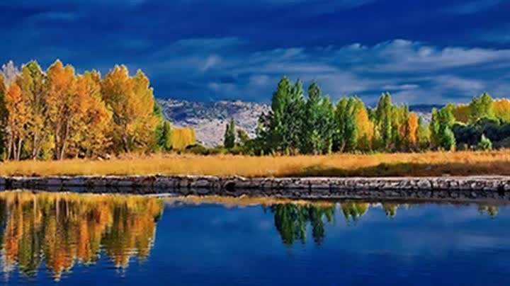 Autumn Reflections