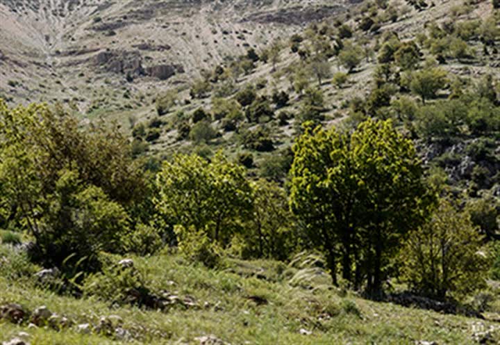 Natural Reserve